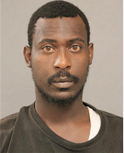 BRYAN L GREEN, Cook County, Illinois