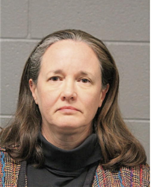 MICHELLE R GUNDERSON, Cook County, Illinois