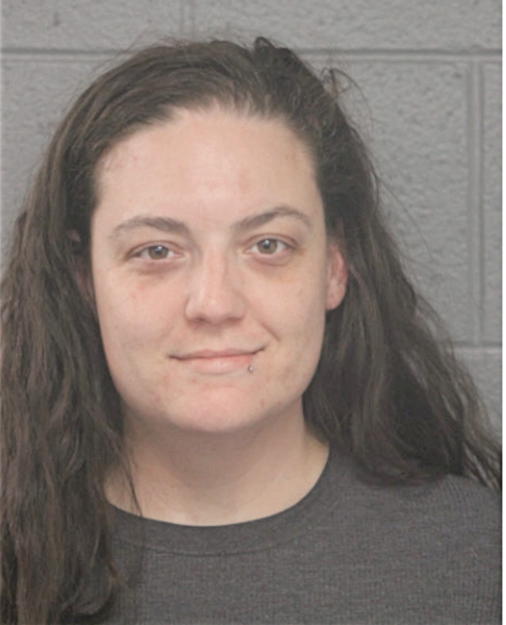 AMY M HANLEY, Cook County, Illinois