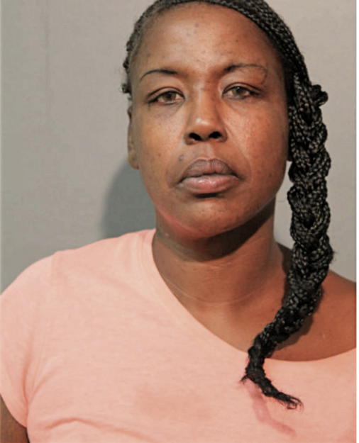 JOY L JOHNSON, Cook County, Illinois