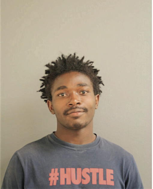 LASHANN JOHNSON, Cook County, Illinois