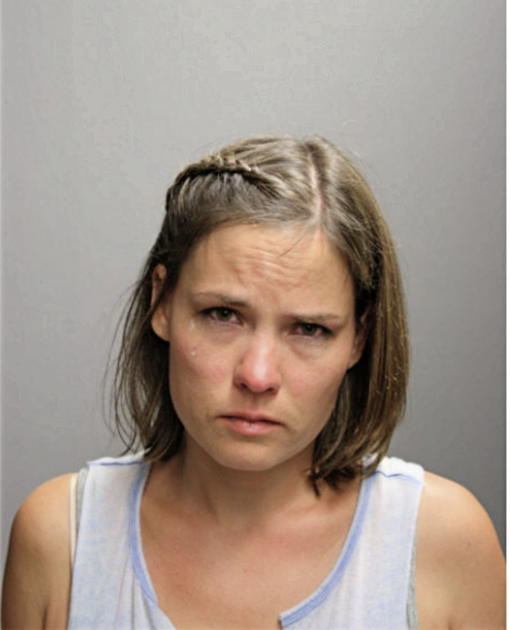 MICHELLE ANN JOHNSON, Cook County, Illinois