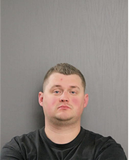 RYAN BLAKE KRUEGER, Cook County, Illinois