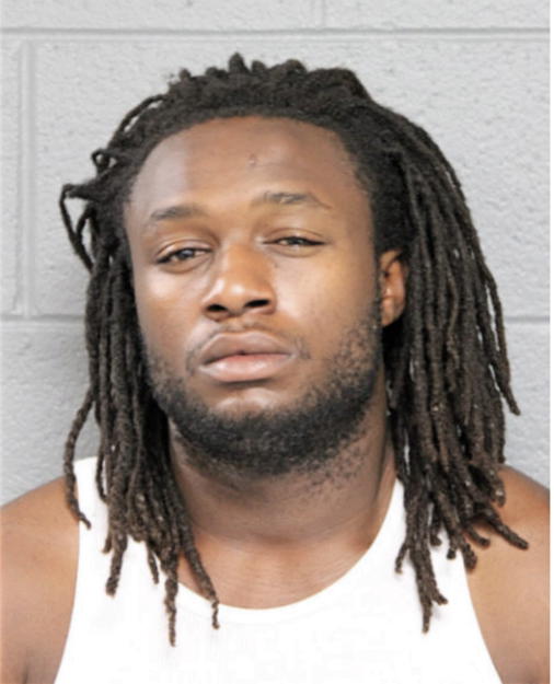 CHRISTOPHER A LEWIS, Cook County, Illinois