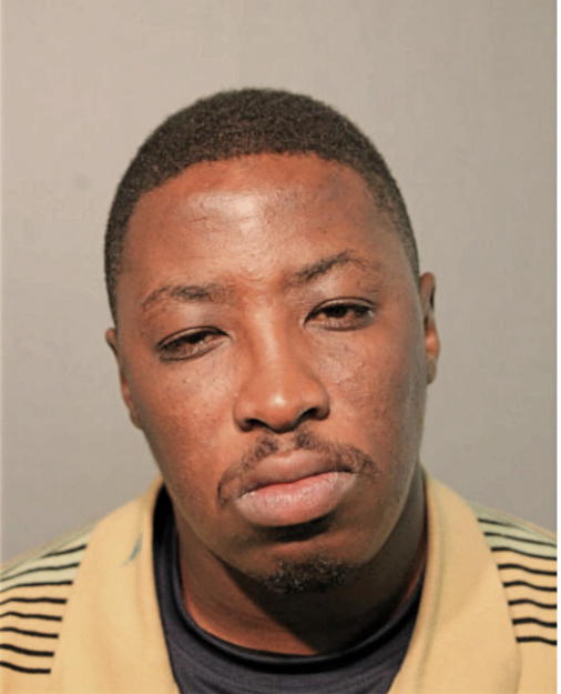 BRYAN L LITTLE, Cook County, Illinois