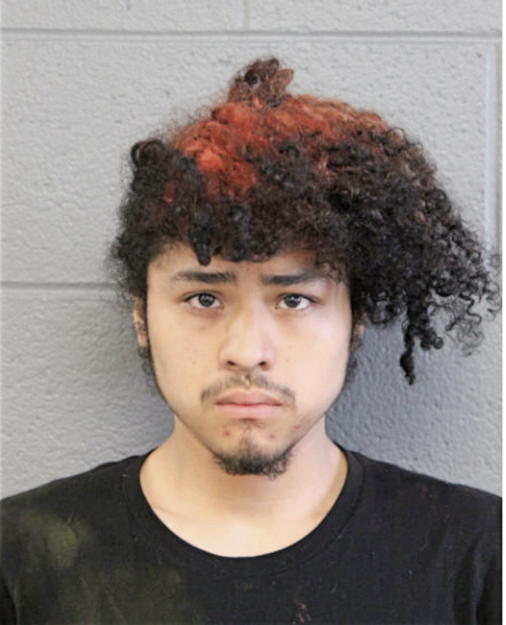 HUMBERTO G MARTINEZ, Cook County, Illinois