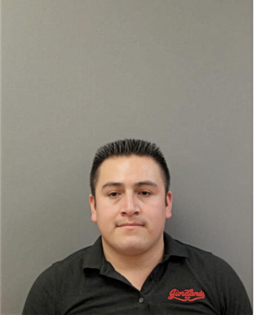 MISAEL MARTINEZ, Cook County, Illinois