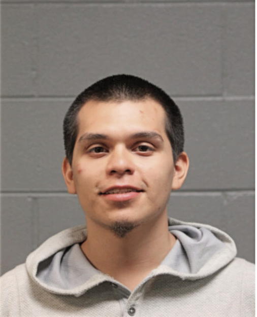 FERNANDO MENA, Cook County, Illinois