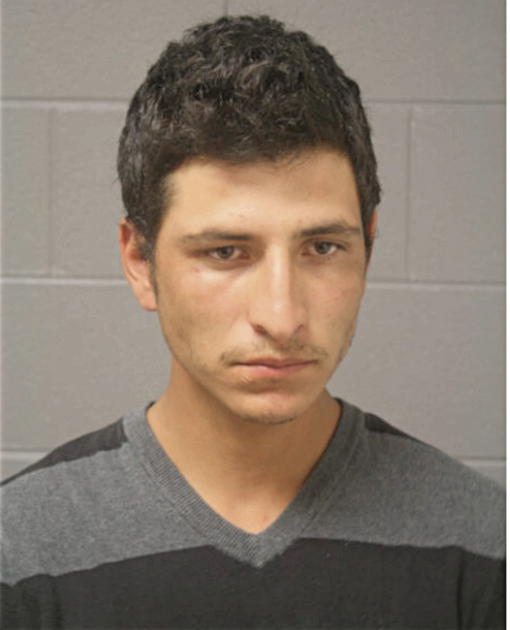 MARCO A NAVA, Cook County, Illinois