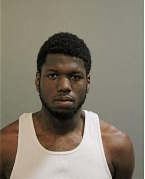 JEREMAYA T POWELL, Cook County, Illinois