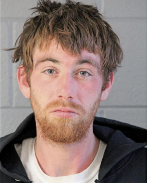 BRANDON W PYNE, Cook County, Illinois