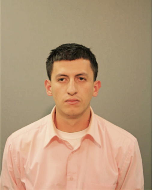 ONOFRE ROGEL-VALLE, Cook County, Illinois