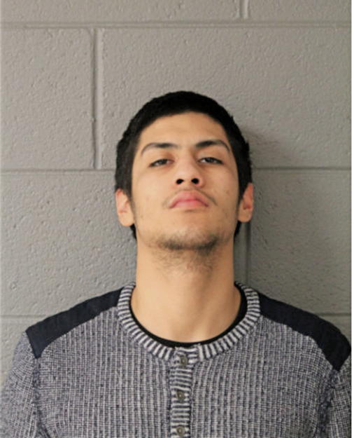 IRVIN ROMAN, Cook County, Illinois