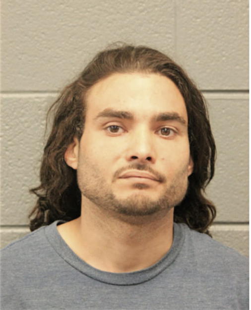 NELSON J ROSARIO, Cook County, Illinois