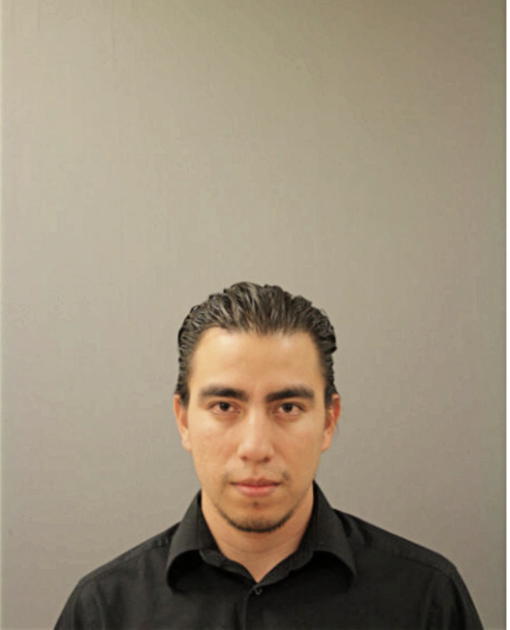 SALVADOR LUIYI SANCHEZ-MENDOZA, Cook County, Illinois