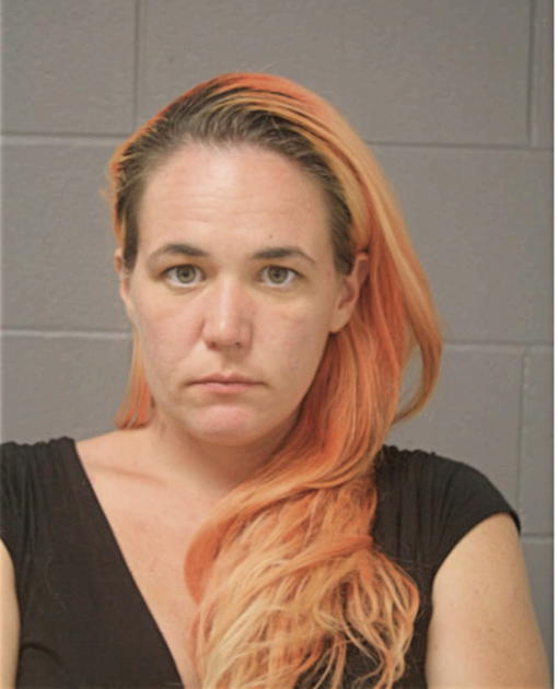 SHANNON M STREIT, Cook County, Illinois