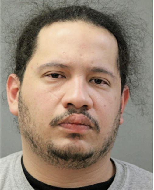 NELSON TORRES, Cook County, Illinois