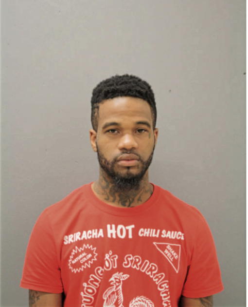 LEWIS T WILLIAMS, Cook County, Illinois