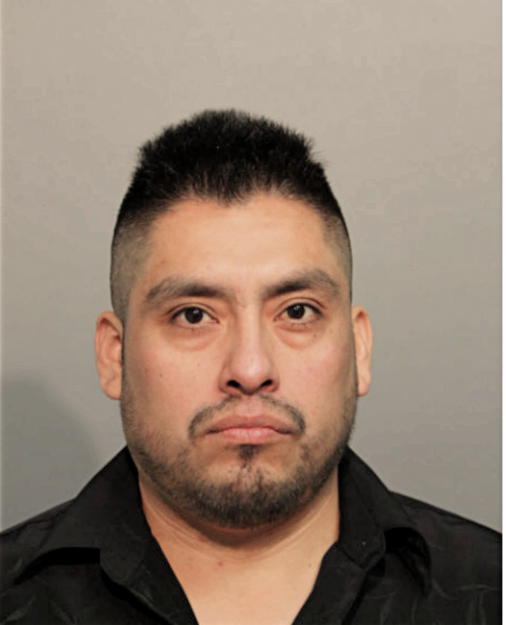 JOSE L AVILA-SOROA, Cook County, Illinois
