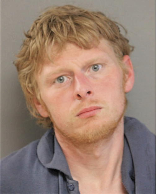 MICHAEL L BREHENY, Cook County, Illinois