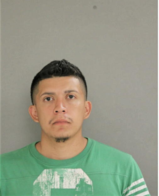 JOEL A FLORES RUFINO, Cook County, Illinois