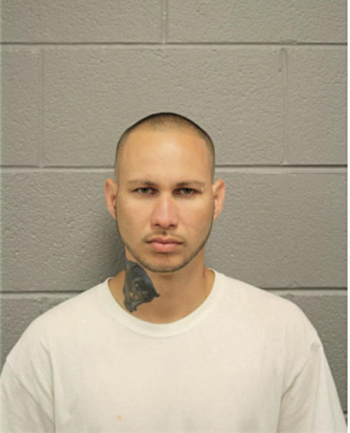 ISMAEL B GUZMAN, Cook County, Illinois