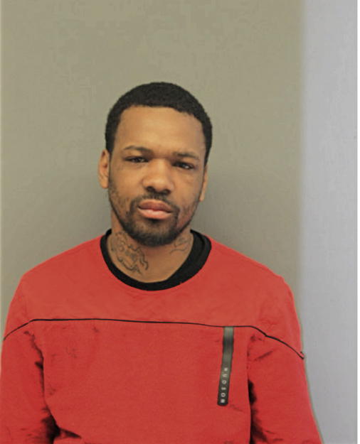 ROBERT E HUNTER, Cook County, Illinois