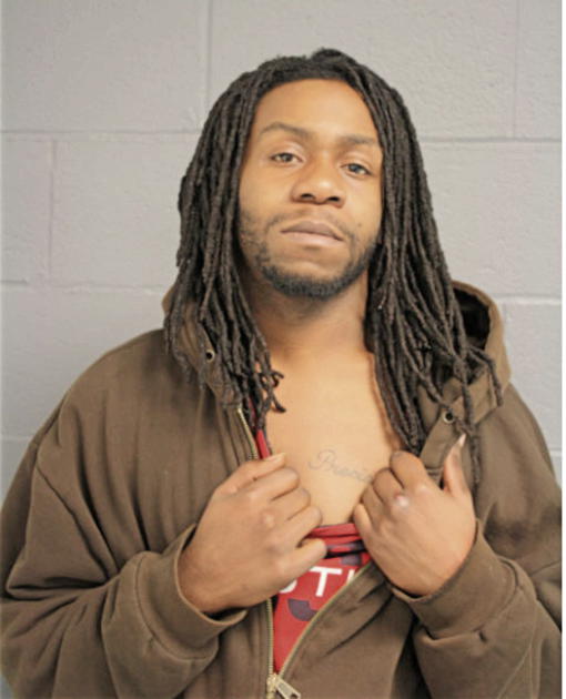 ROSS M JOHNSON, Cook County, Illinois
