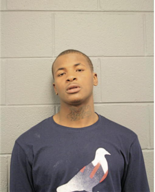 TERRENCE L JOHNSON, Cook County, Illinois