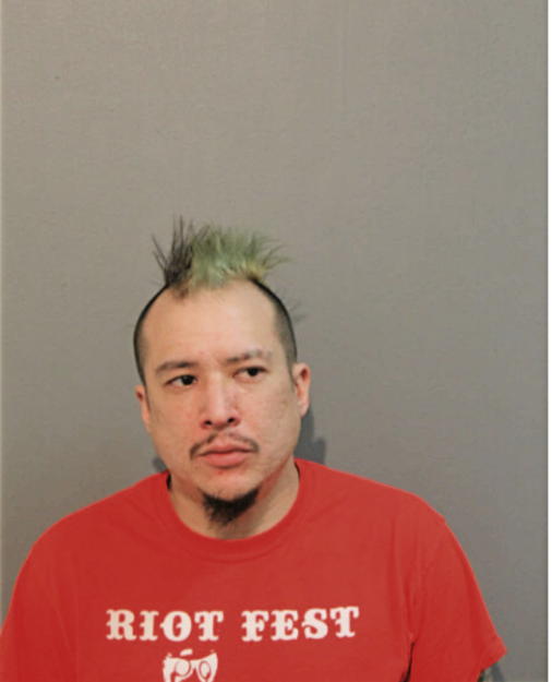 STEVEN L NESTER, Cook County, Illinois