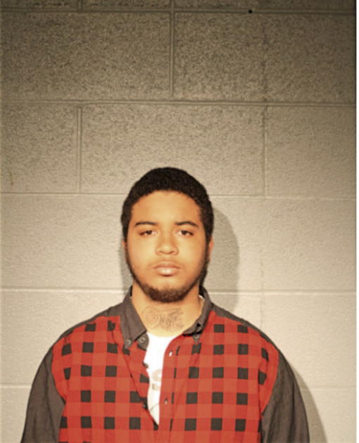 NED LEWIS, Cook County, Illinois
