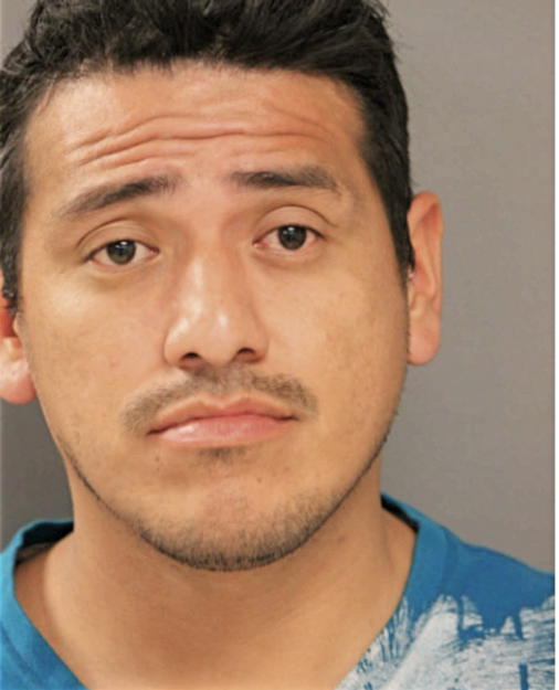 GARIBALDI J LOPEZ, Cook County, Illinois