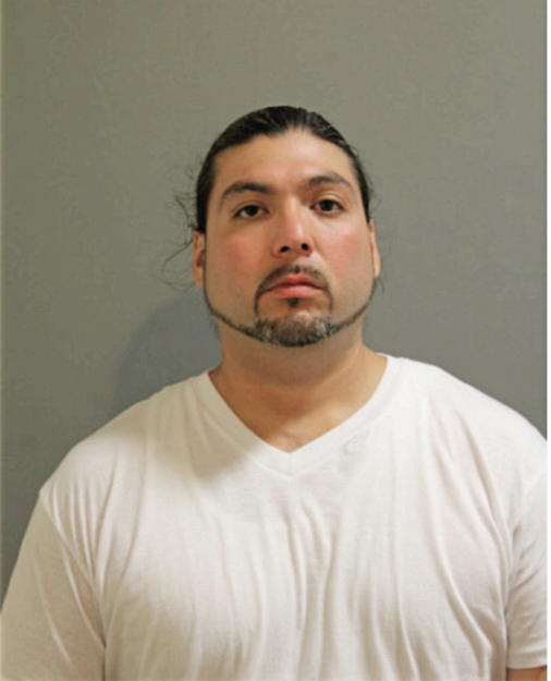 MARTINE MANZANALES, Cook County, Illinois