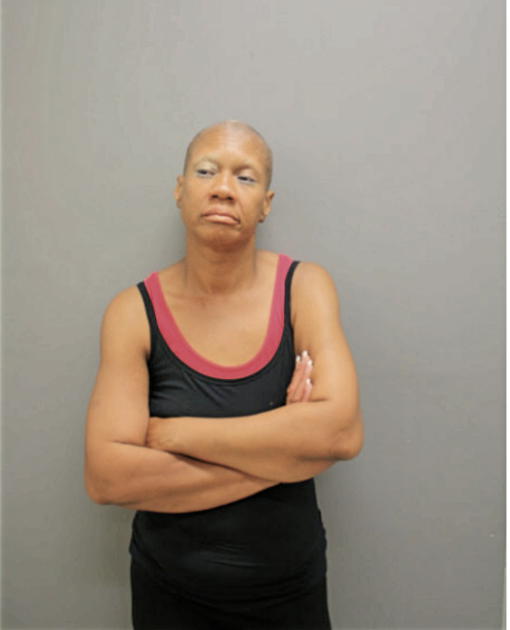 LISA A MILLER, Cook County, Illinois
