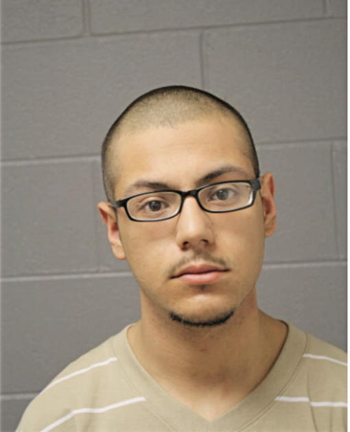 EDGAR ORTIZ, Cook County, Illinois