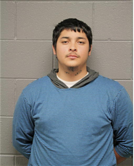 LUIS J PEREZ, Cook County, Illinois