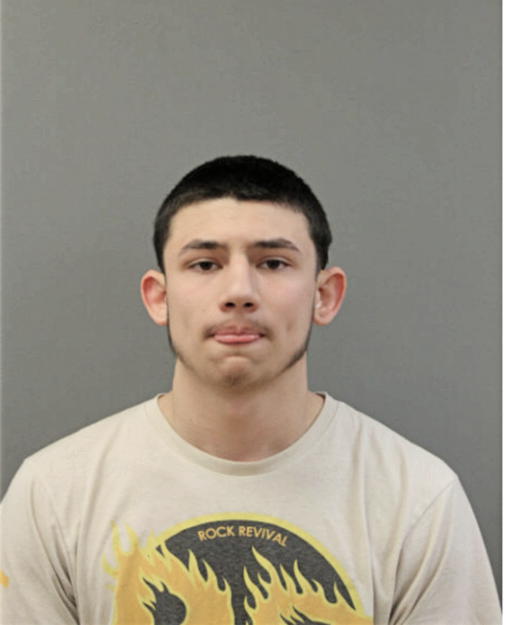 GABRIEL PONCE, Cook County, Illinois
