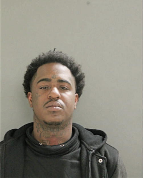 DERRELL D REDMOND, Cook County, Illinois