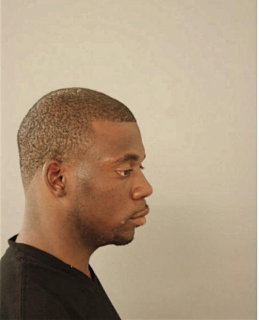 VINCENT M RICHARDSON, Cook County, Illinois