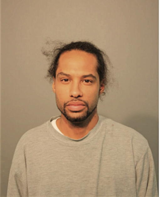 LUIS A ROSARIO, Cook County, Illinois