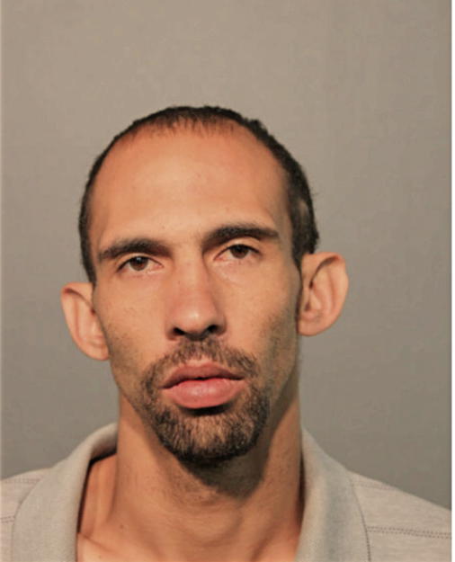 RAFAEL A TORRES, Cook County, Illinois