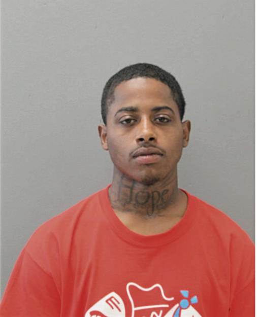 ROBERT M WHITE, Cook County, Illinois