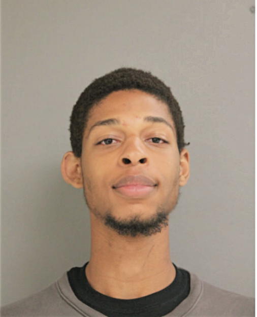 DERRICK C WOODS, Cook County, Illinois