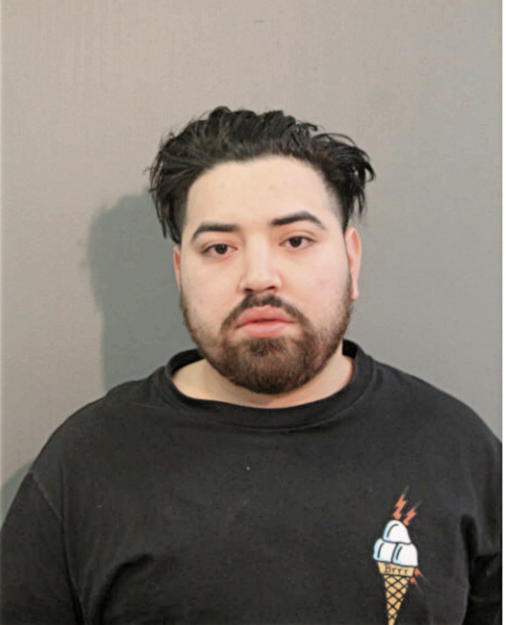 NICHOLAS A ALBARRAN, Cook County, Illinois