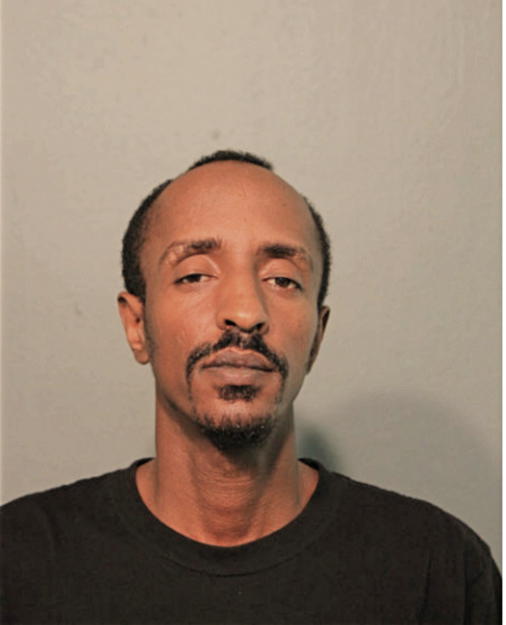 MAEKLE H BERHANE, Cook County, Illinois