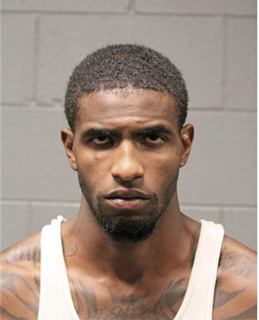 DARNELL H BLUNT, Cook County, Illinois