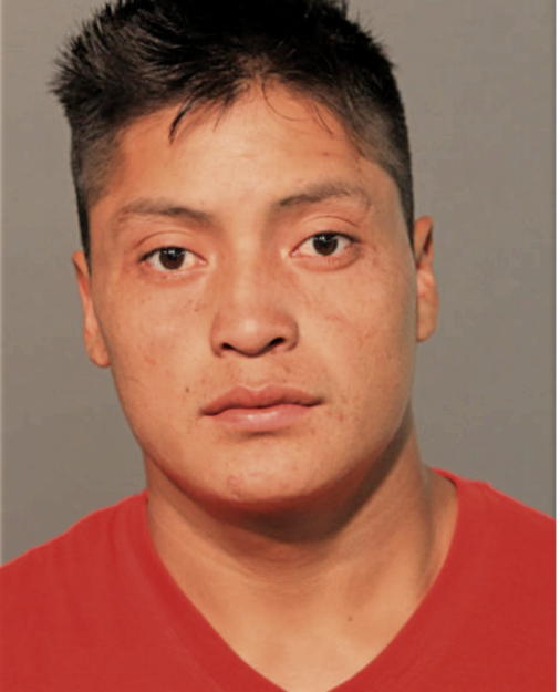 JORGE G CAGUANA, Cook County, Illinois