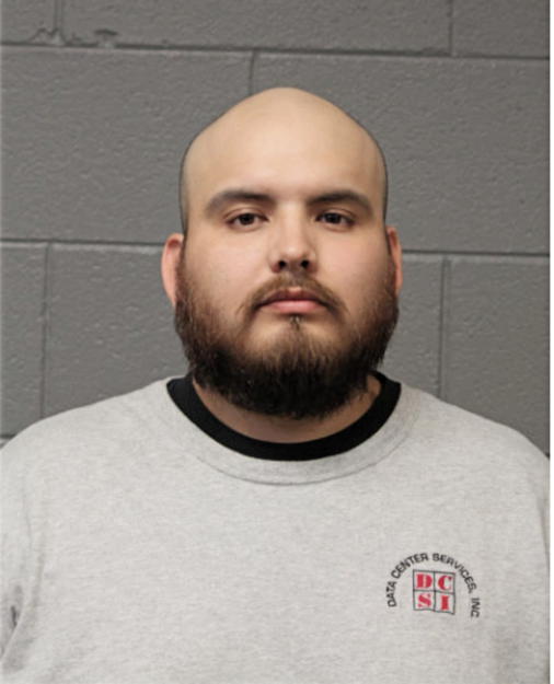 ARTURO D CAMARENA, Cook County, Illinois