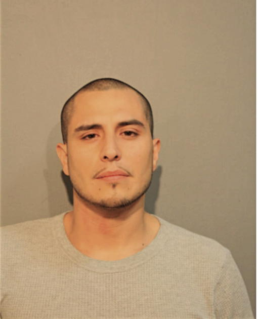 MARK A DELEON, Cook County, Illinois