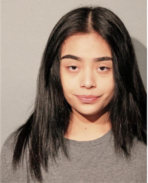 LESLEY DELGADO, Cook County, Illinois